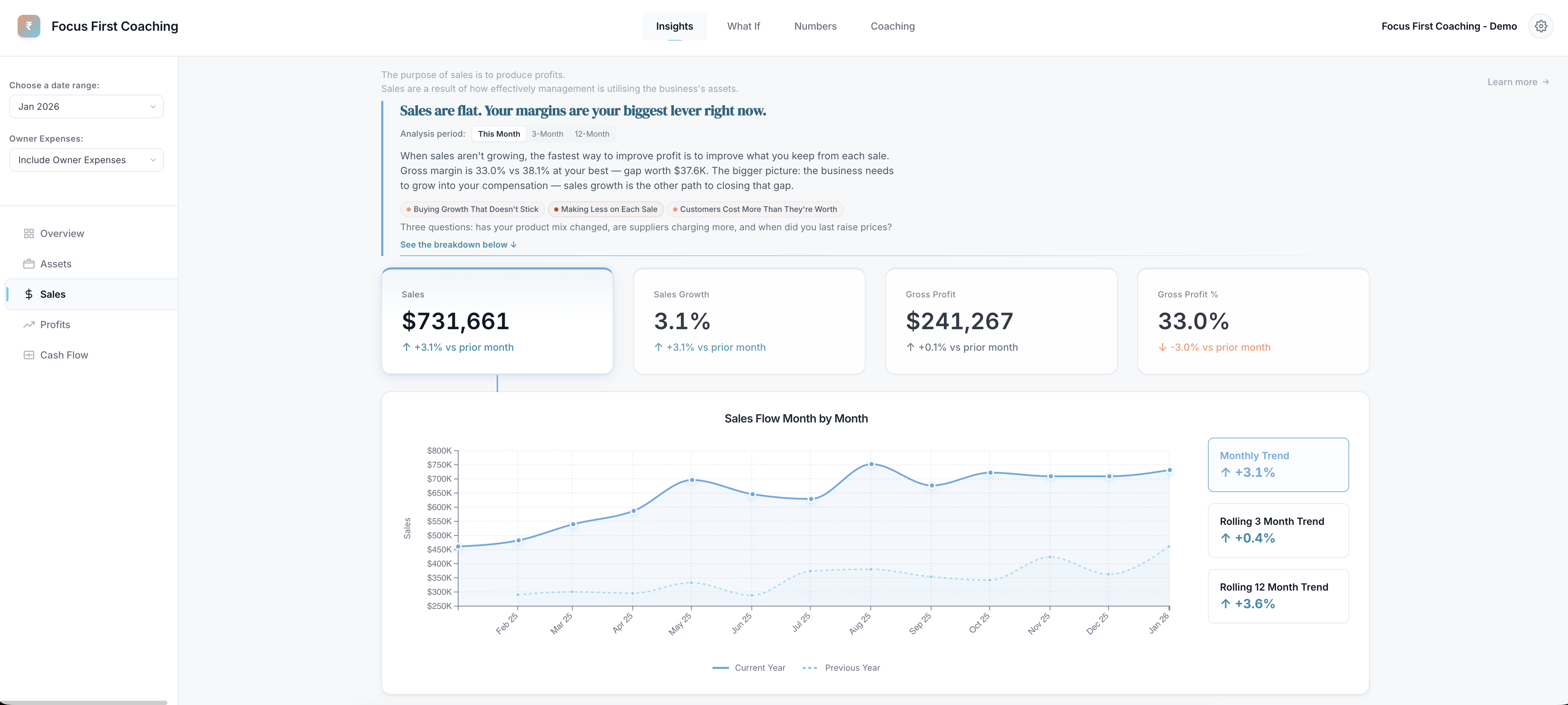 Sales overview with monthly trends